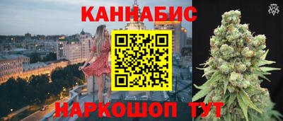 a pvp Камышлов