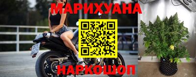 a pvp Камышлов
