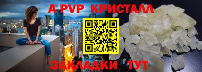 a pvp Камышлов