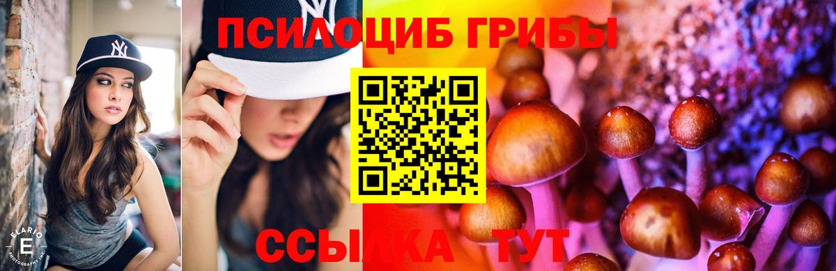 Кувандык  Галлюциногенные грибы мицелий  Вход с VPN  Галлюциногенные грибы ЛСД 